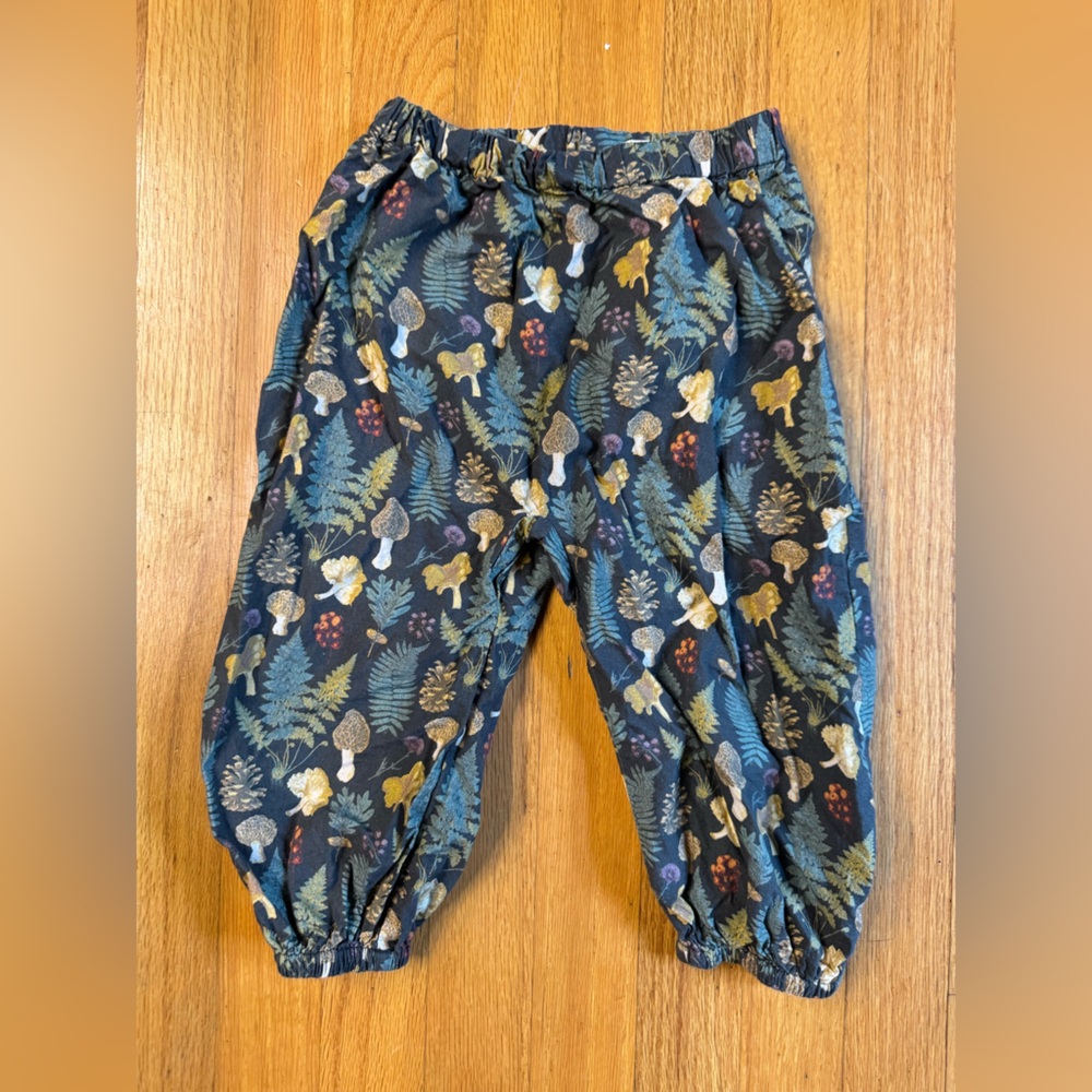 Kate Quinn Multicolor Organic Cotton Pants
